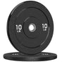 Crumb Bumper Plates with Steel Insert - Olympic Weight Plates for Crossfit & Lifting
